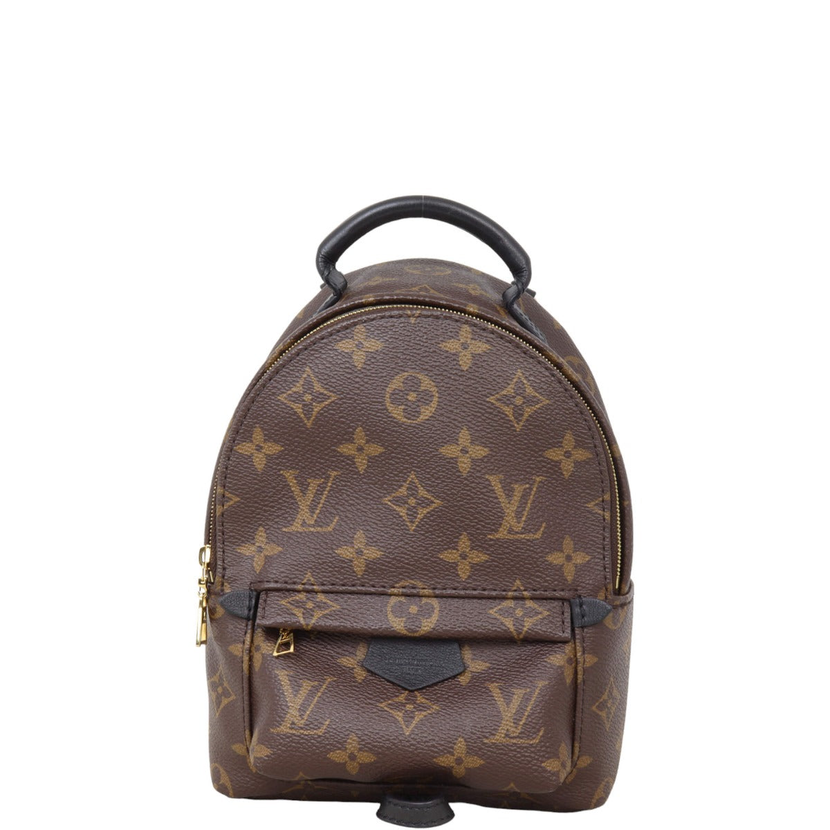 Louis Vuitton Palm Springs Mini Backpack Monogram