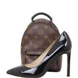 Louis Vuitton Palm Springs Mini Backpack Monogram