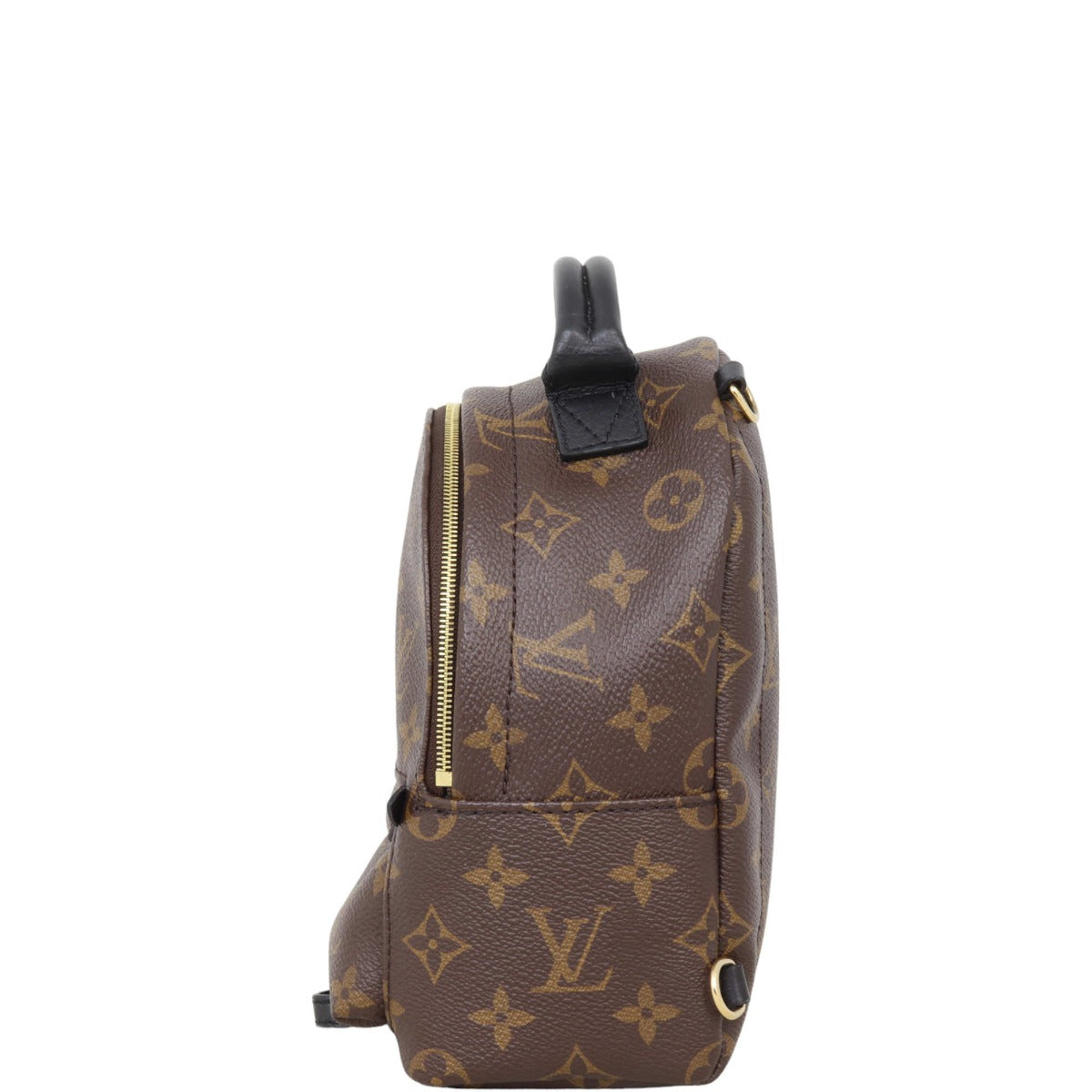 Louis Vuitton Palm Springs Mini Backpack Monogram