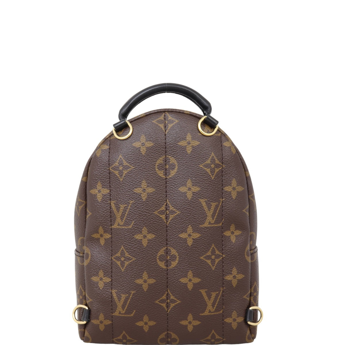 Louis Vuitton Palm Springs Mini Backpack Monogram