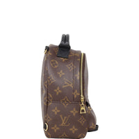 Louis Vuitton Palm Springs Mini Backpack Monogram