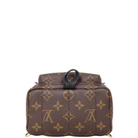 Louis Vuitton Palm Springs Mini Backpack Monogram