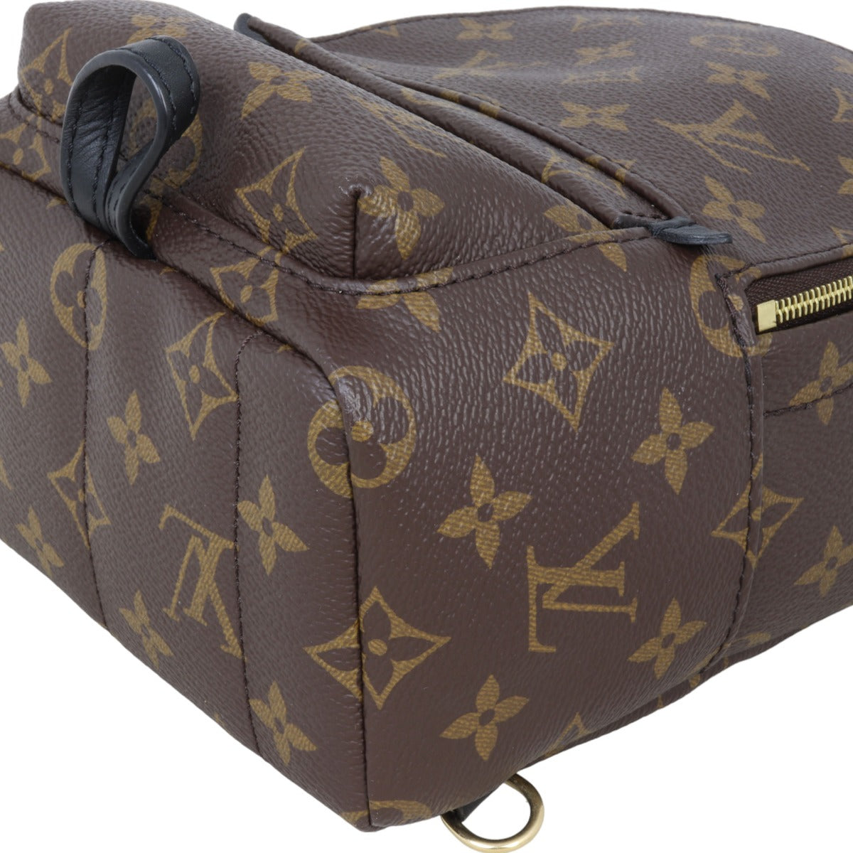 Louis Vuitton Palm Springs Mini Backpack Monogram