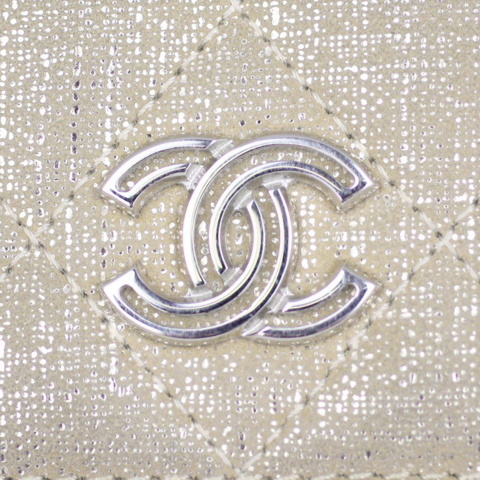 Chanel Iridescent Goatskin Zippy Wallet Logo