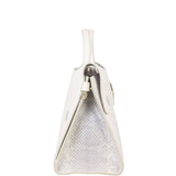 Dior Diorever Medium Satchel Python