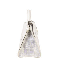 Dior Diorever Medium Satchel Python