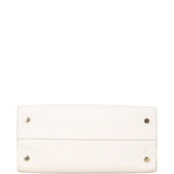 Dior Diorever Medium Satchel Python