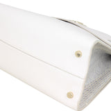 Dior Diorever Medium Satchel Python