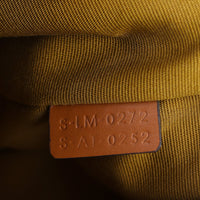 Celine Ava Triomphe Hobo