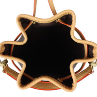 Louis Vuitton Nano Noe Monogram