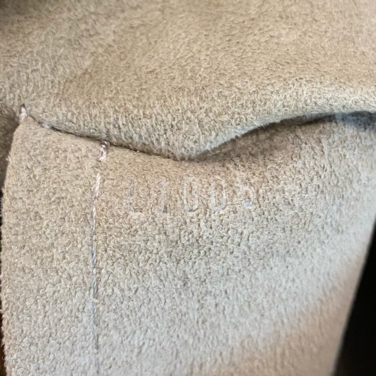 Louis Vuitton Lodge PM Monogram Multicolore