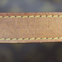 Louis Vuitton Noe Monogram