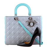 Lady Dior Bi-Colour Large Shoe