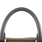 Louis Vuitton Alma PM Epi Handle