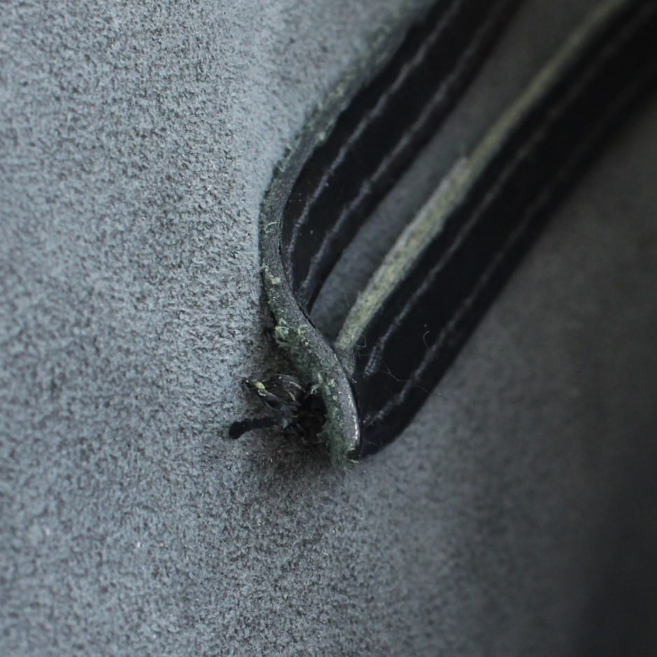 Louis Vuitton Alma PM Epi Stitch