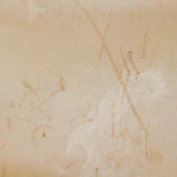 Louis Vuitton Alma PM Monogram Scratch