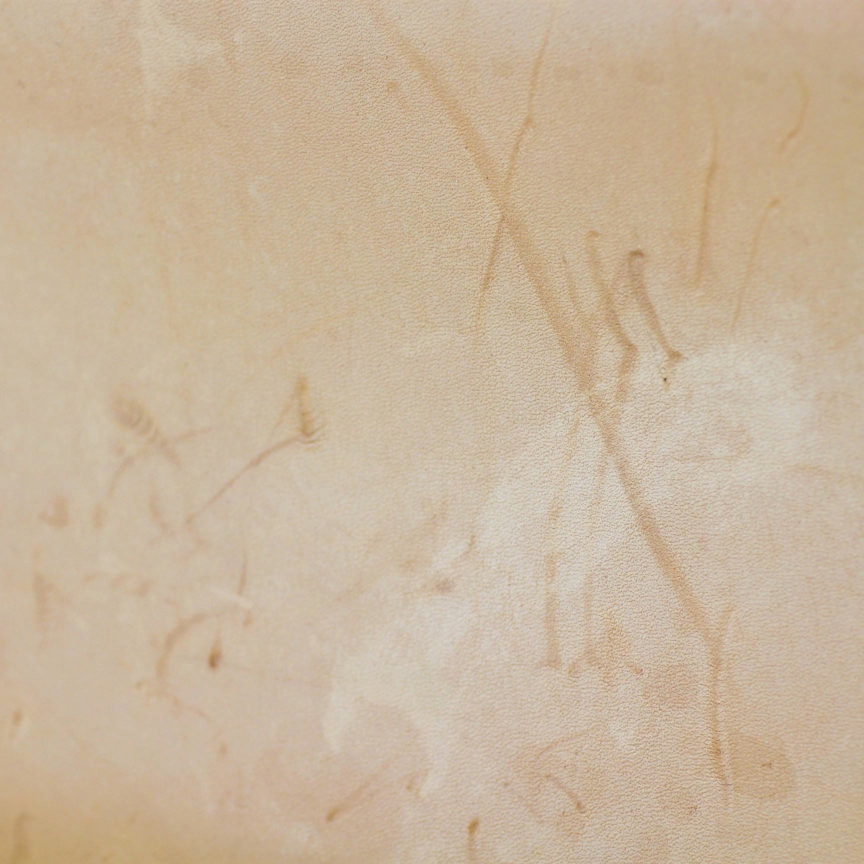 Louis Vuitton Alma PM Monogram Scratch