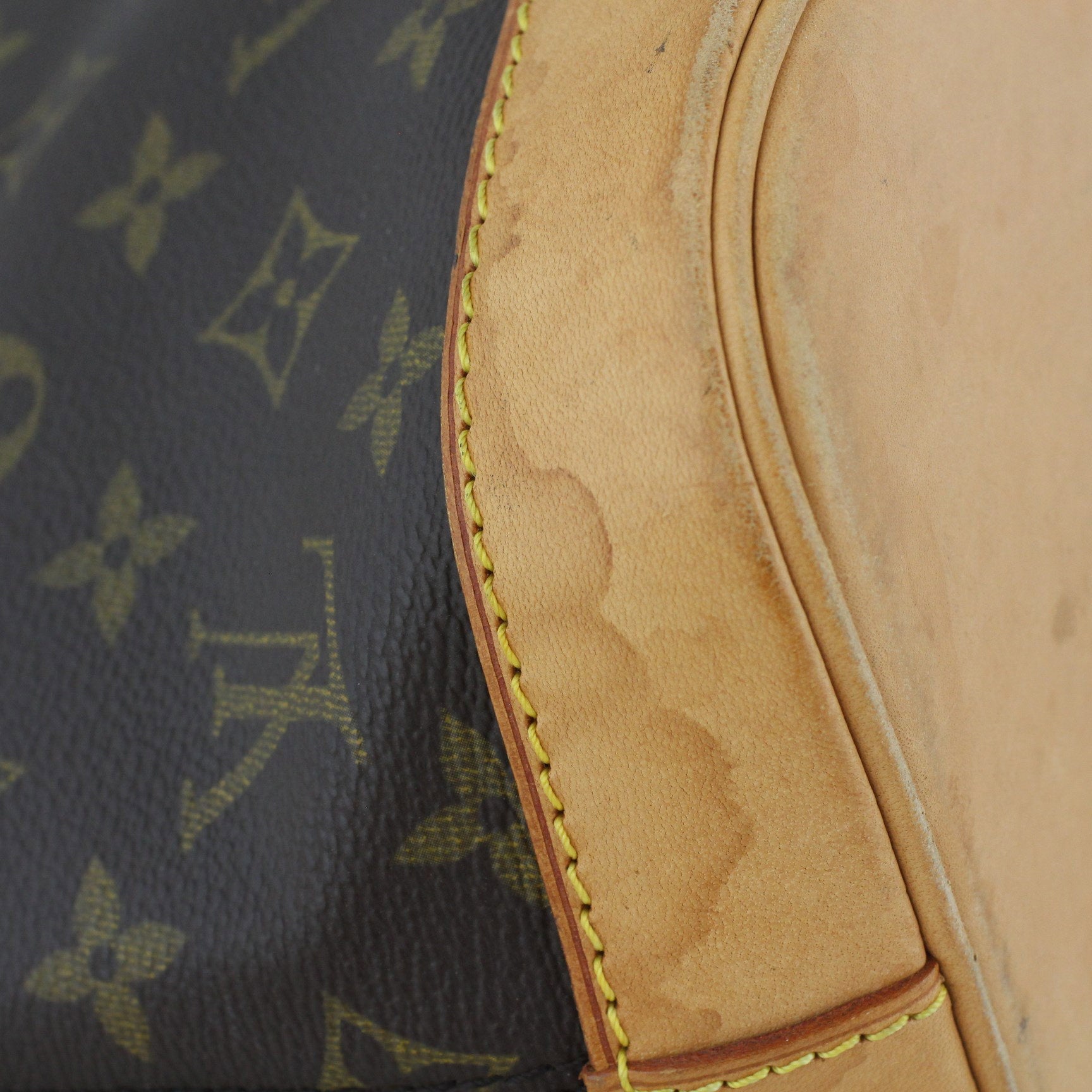 Louis Vuitton Alma PM Monogram Stain 2