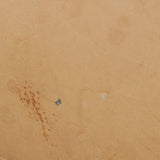 Louis Vuitton Alma PM Monogram Stain