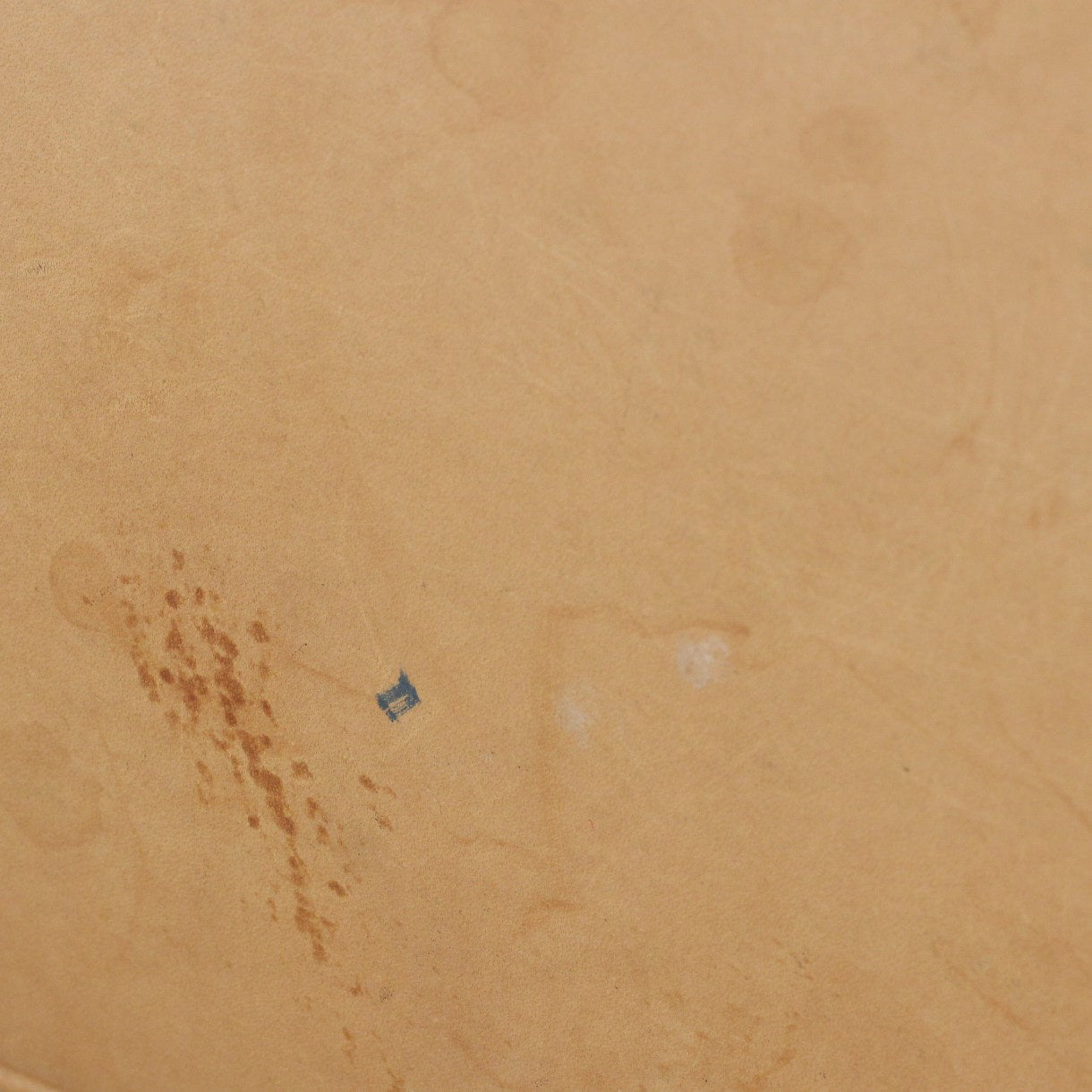 Louis Vuitton Alma PM Monogram Stain