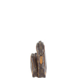 Louis Vuitton Amazone Monogram Left