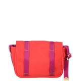 Louis Vuitton Besace PM Antigua Canvas Bag Back