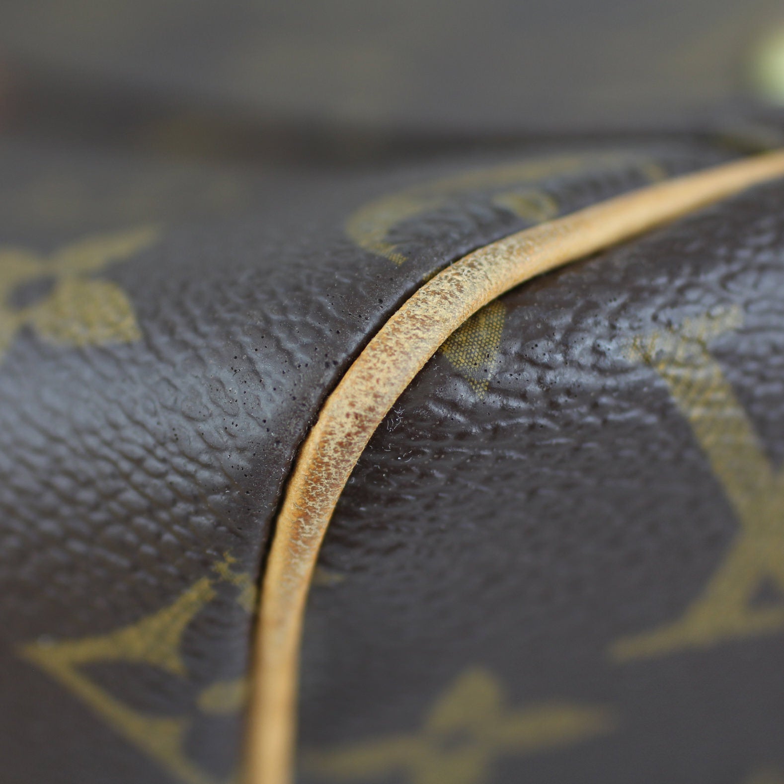Louis Vuitton Carryall Monogram Lining