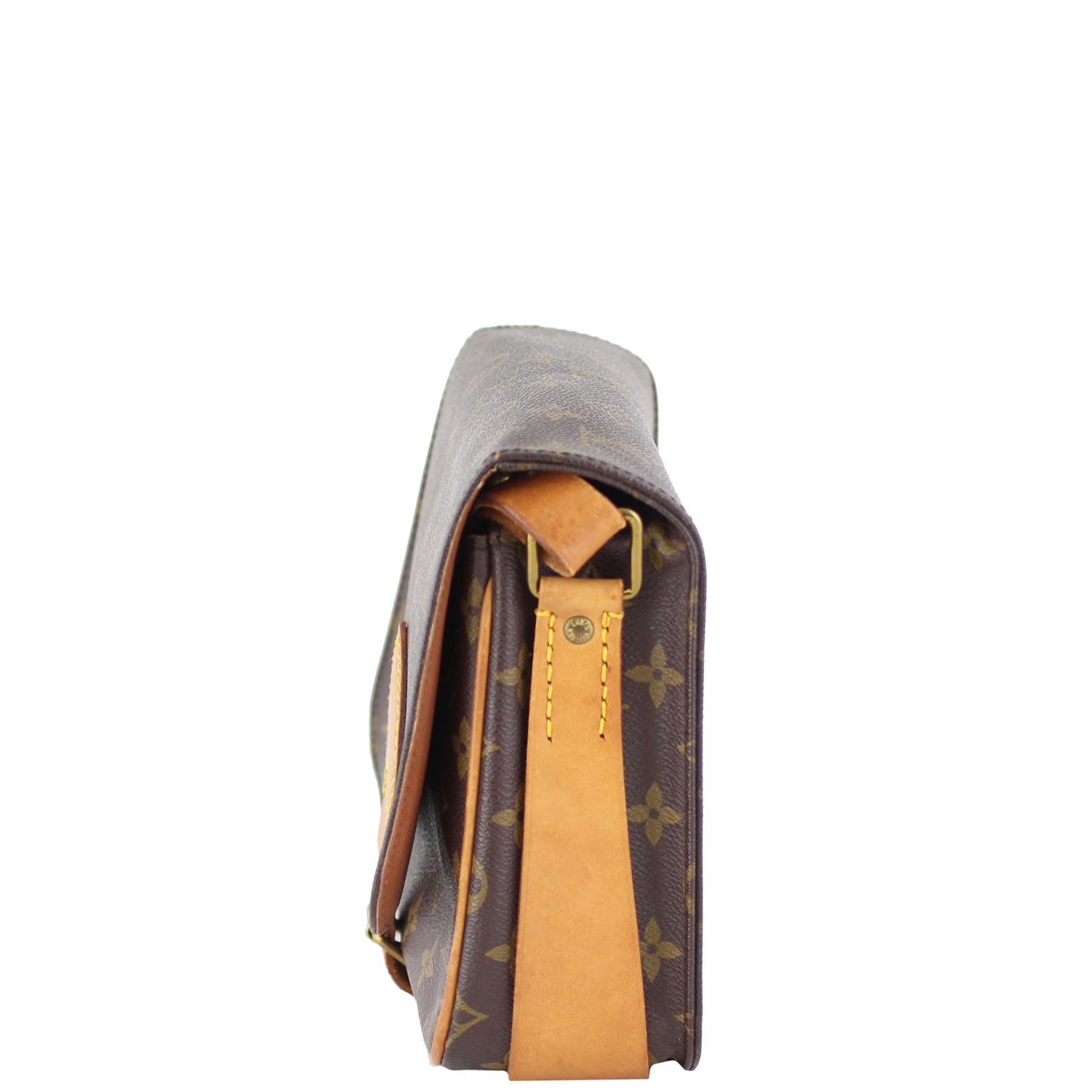 Louis Vuitton Cartouchiere MM Monogram Left