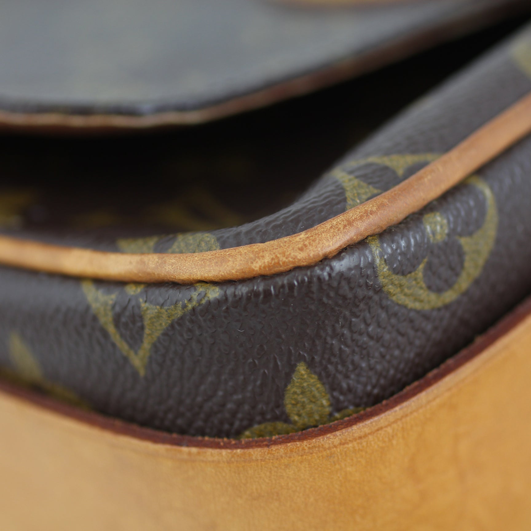 Louis Vuitton Cartouchiere MM Monogram Lining