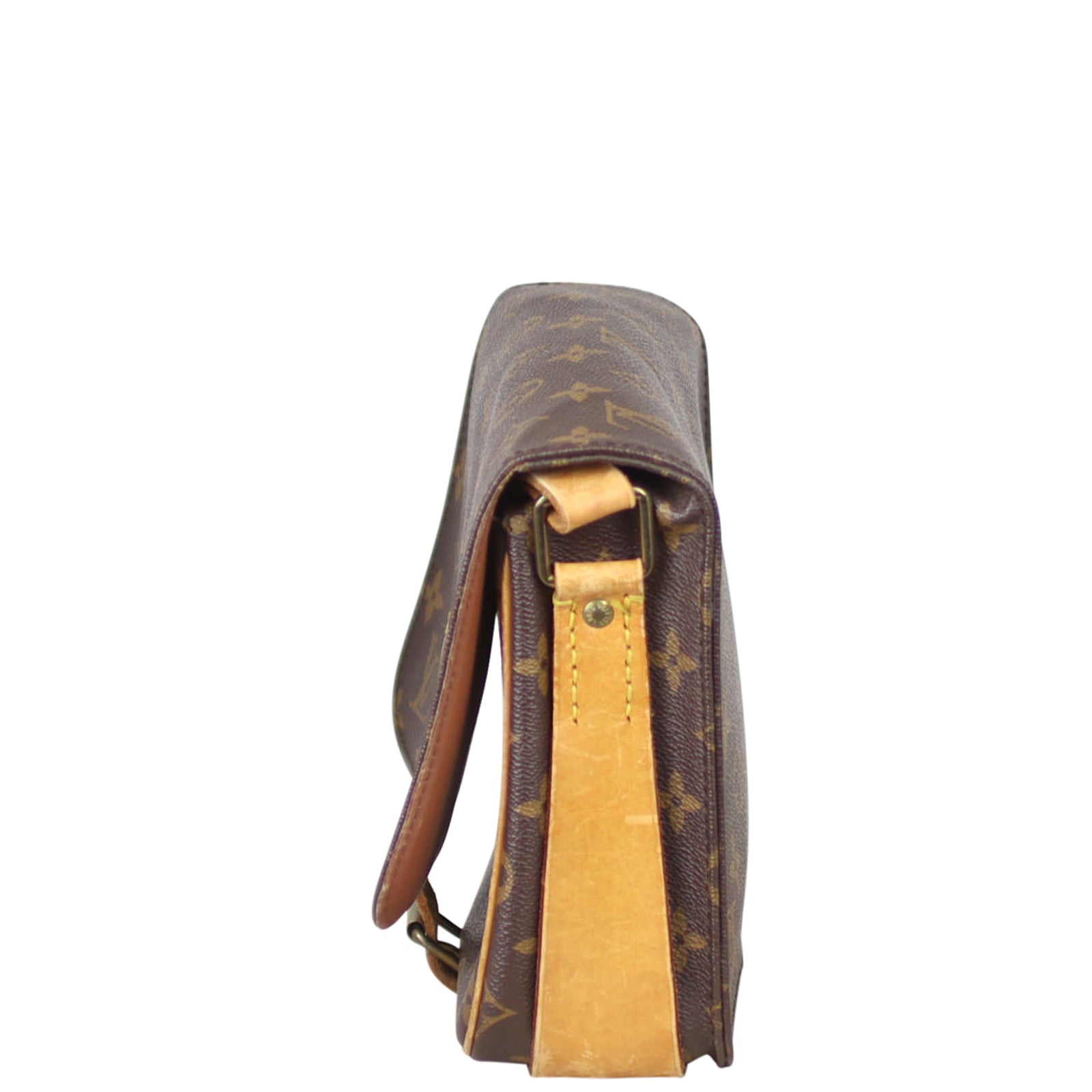 Louis Vuitton Cartouchiere MM Monogram Side