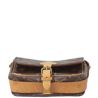 Louis Vuitton Cartouchiere PM Monogram Base