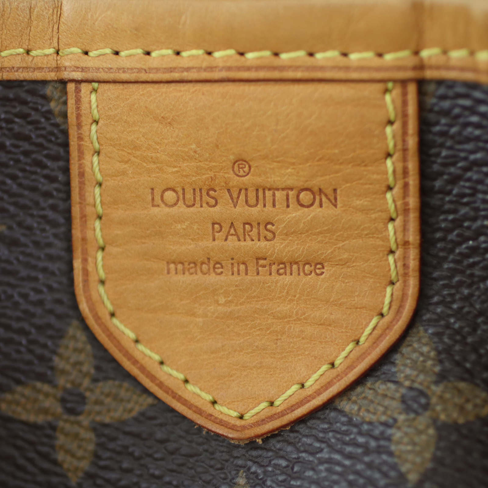 Louis Vuitton Delightful GM Bag Exterior