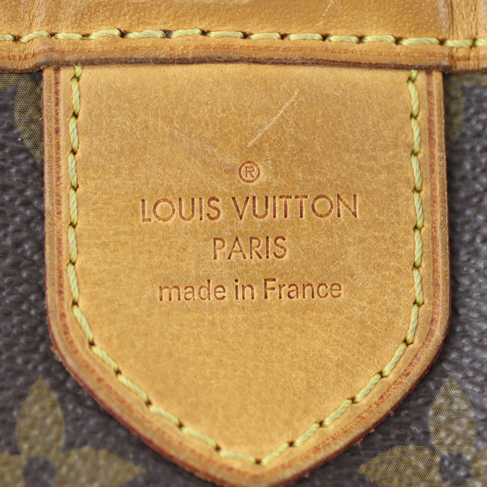Louis Vuitton Delightful GM Monogram Exterior