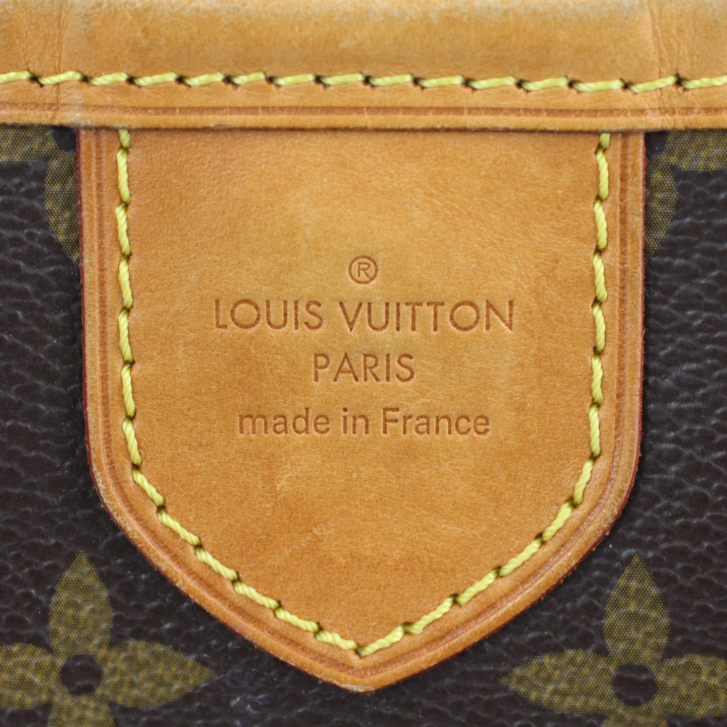 Louis Vuitton Delightful PM Monogram Exterior