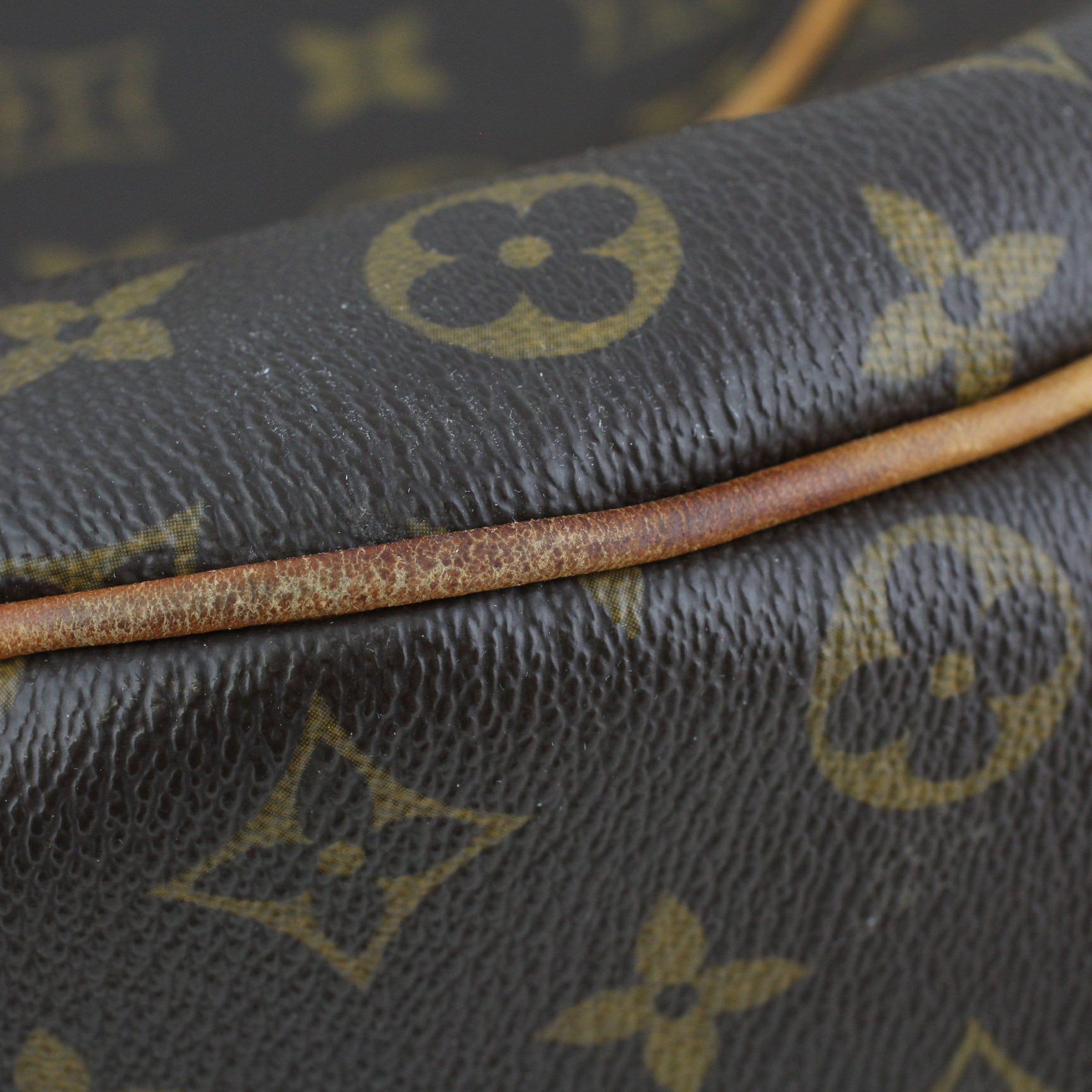 Louis Vuitton Galliera PM Monogram Lining 2