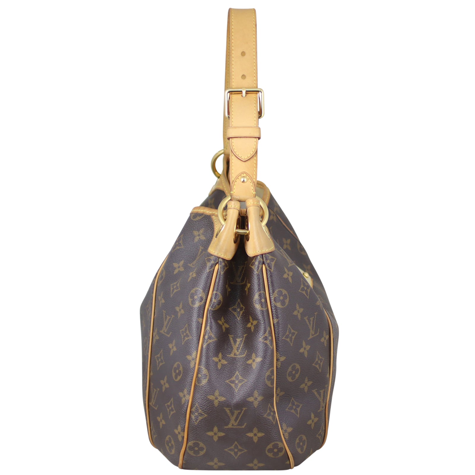 Louis Vuitton Galliera PM Monogram Side