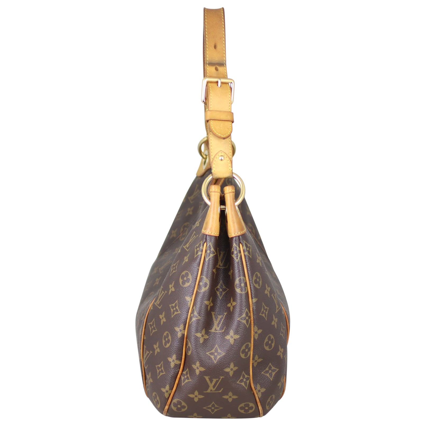 Louis Vuitton Galliera PM Monogram Side