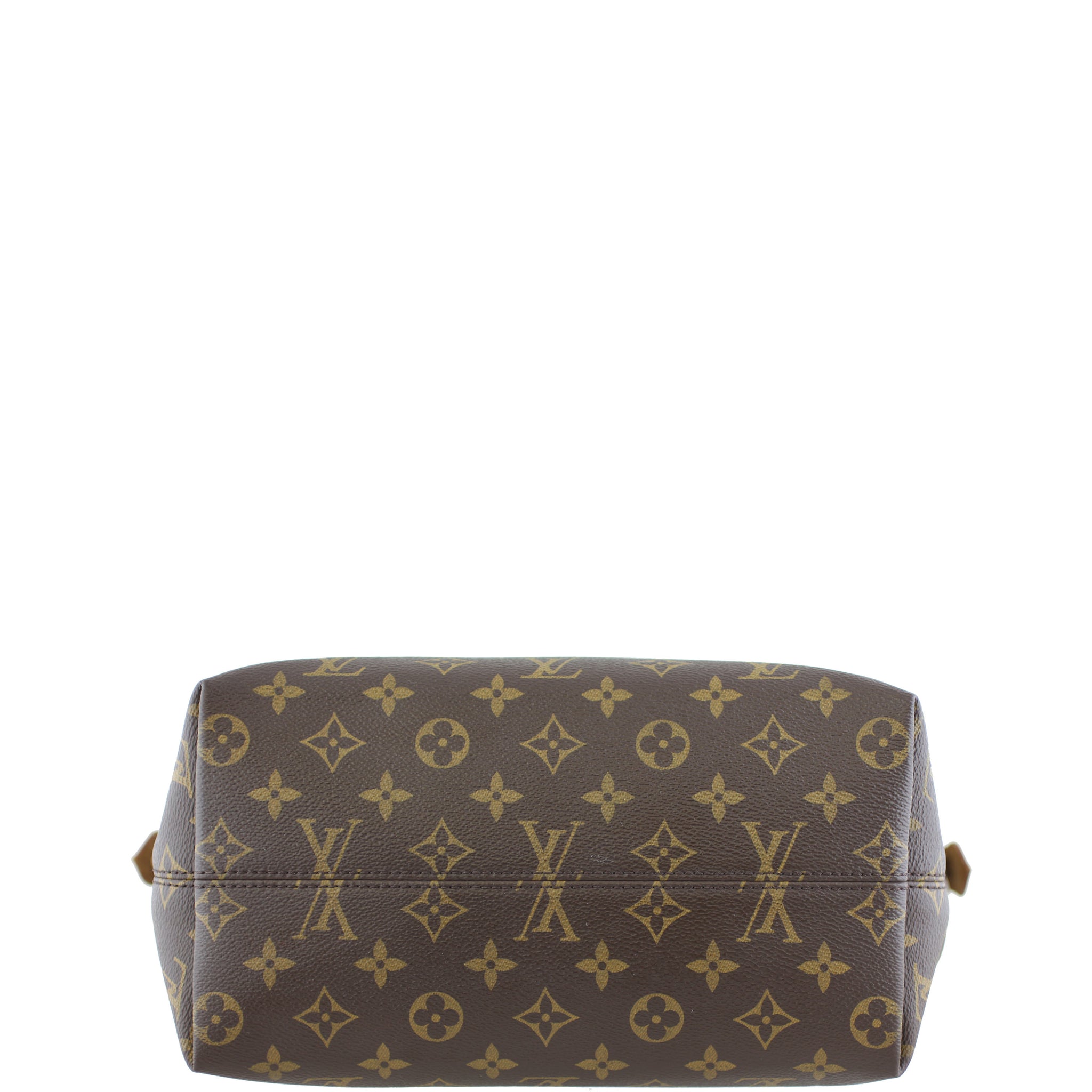 Louis Vuitton Iena PM Monogram Base