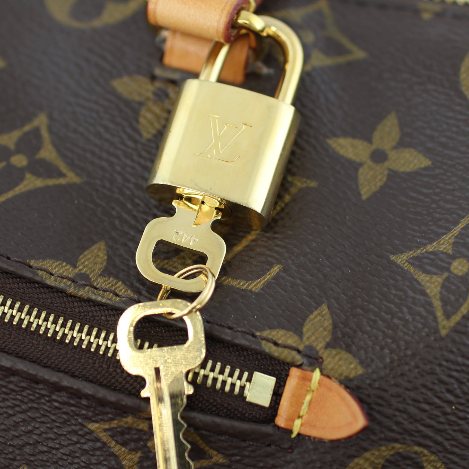 Louis Vuitton Iena PM Monogram Lock