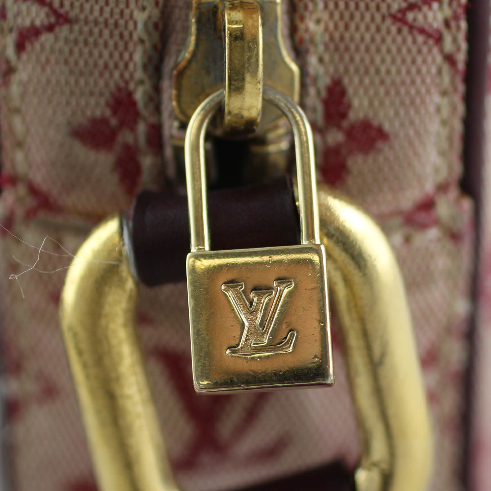 Louis Vuitton Juliette Mini Lin Crossbody Zip