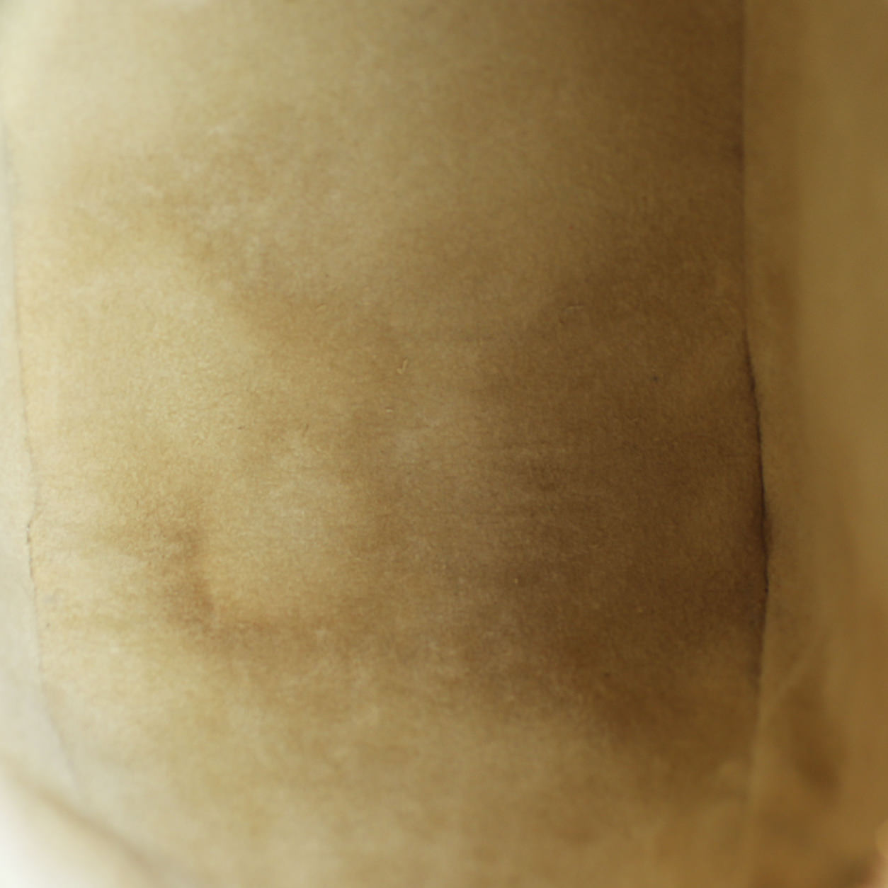 Louis Vuitton Looping MM Monogram Stains