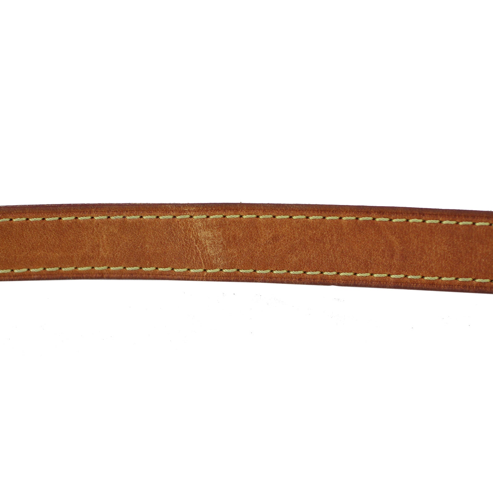 Louis Vuitton Menilmontant PM Monogram Strap