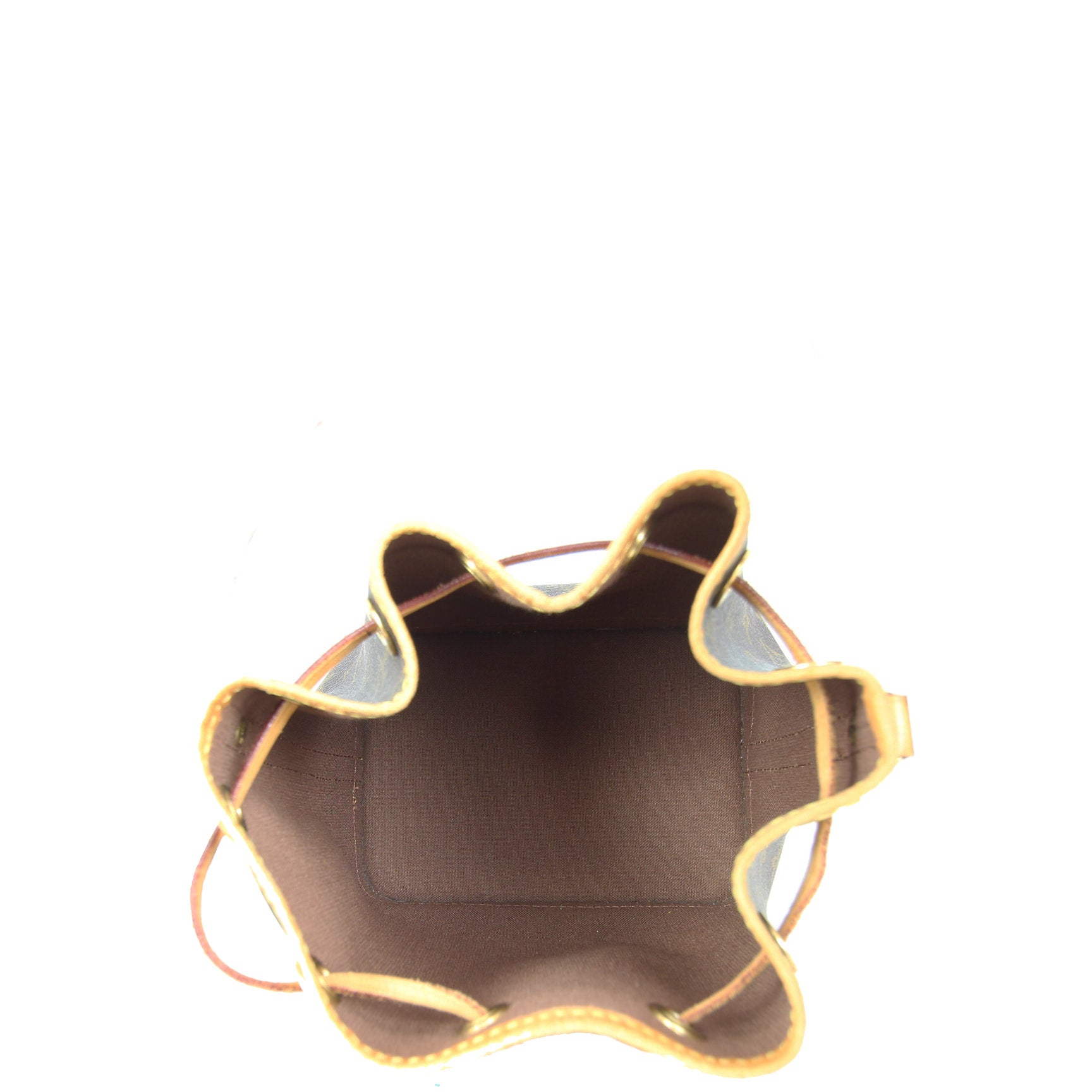 Louis Vuitton Mini Noe Monogram Interior