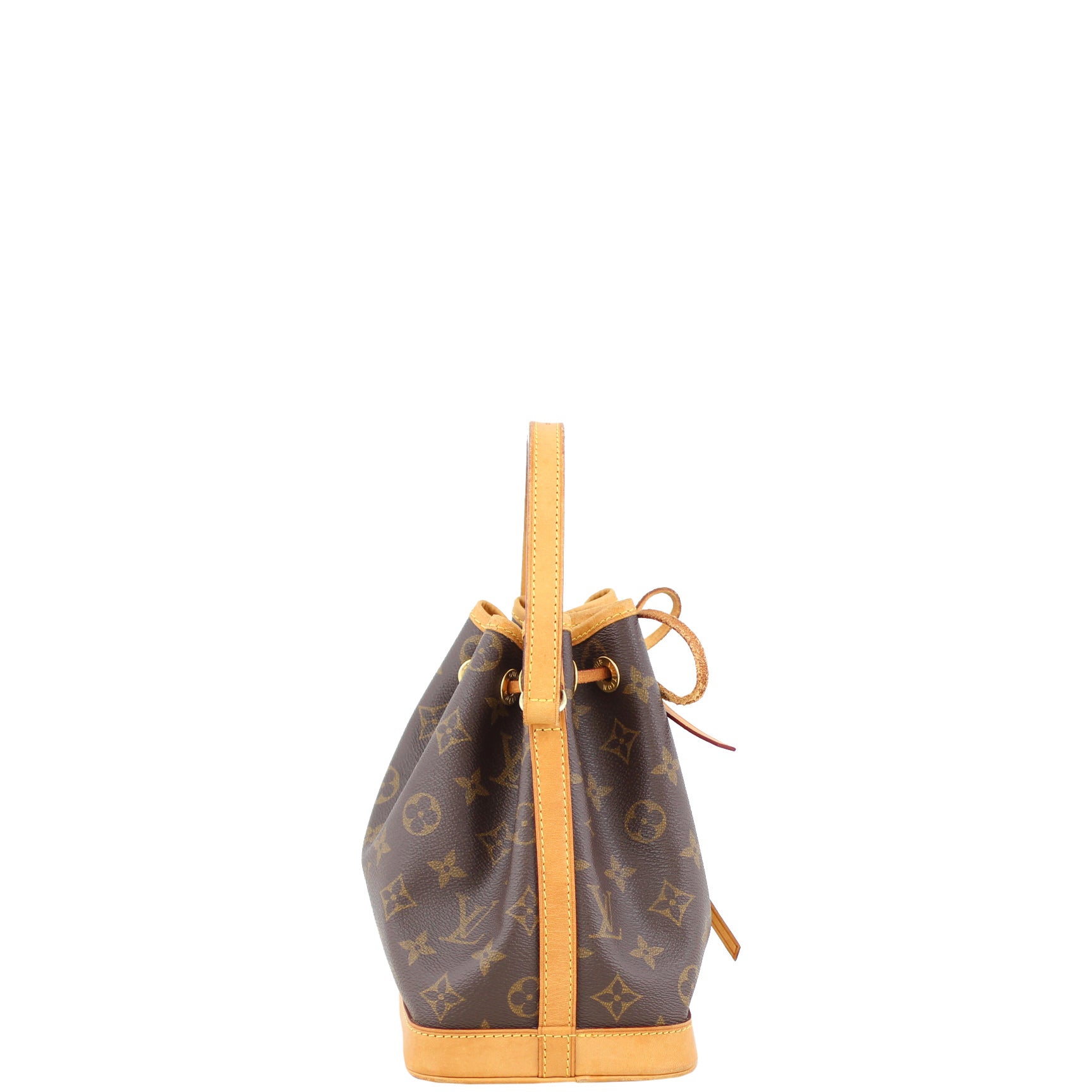 Louis Vuitton Mini Noe Monogram Right