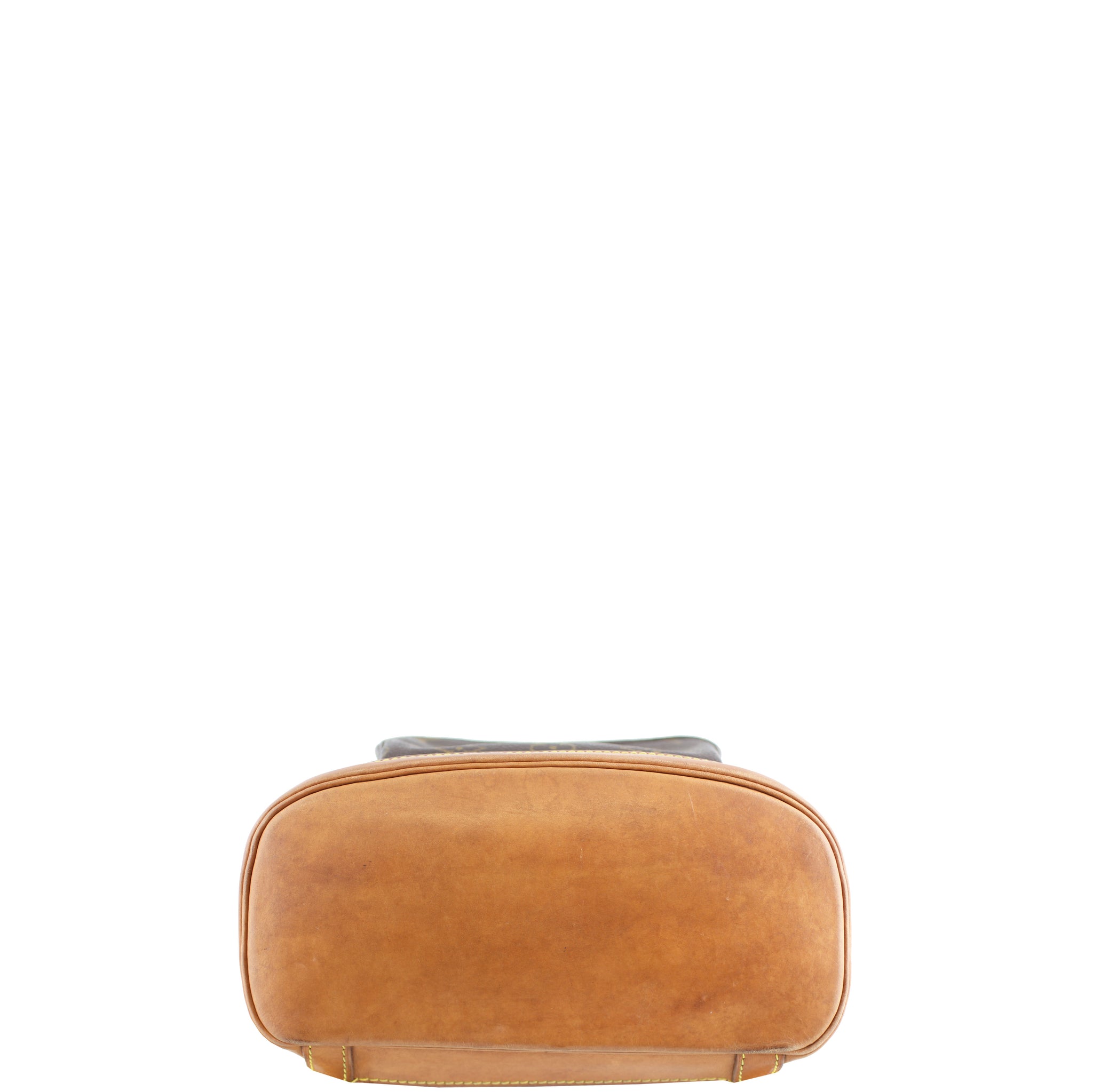 Louis Vuitton Montsouris MM Monogram Base