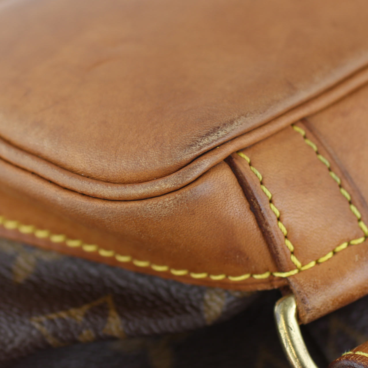 Louis Vuitton Montsouris MM Monogram Lining