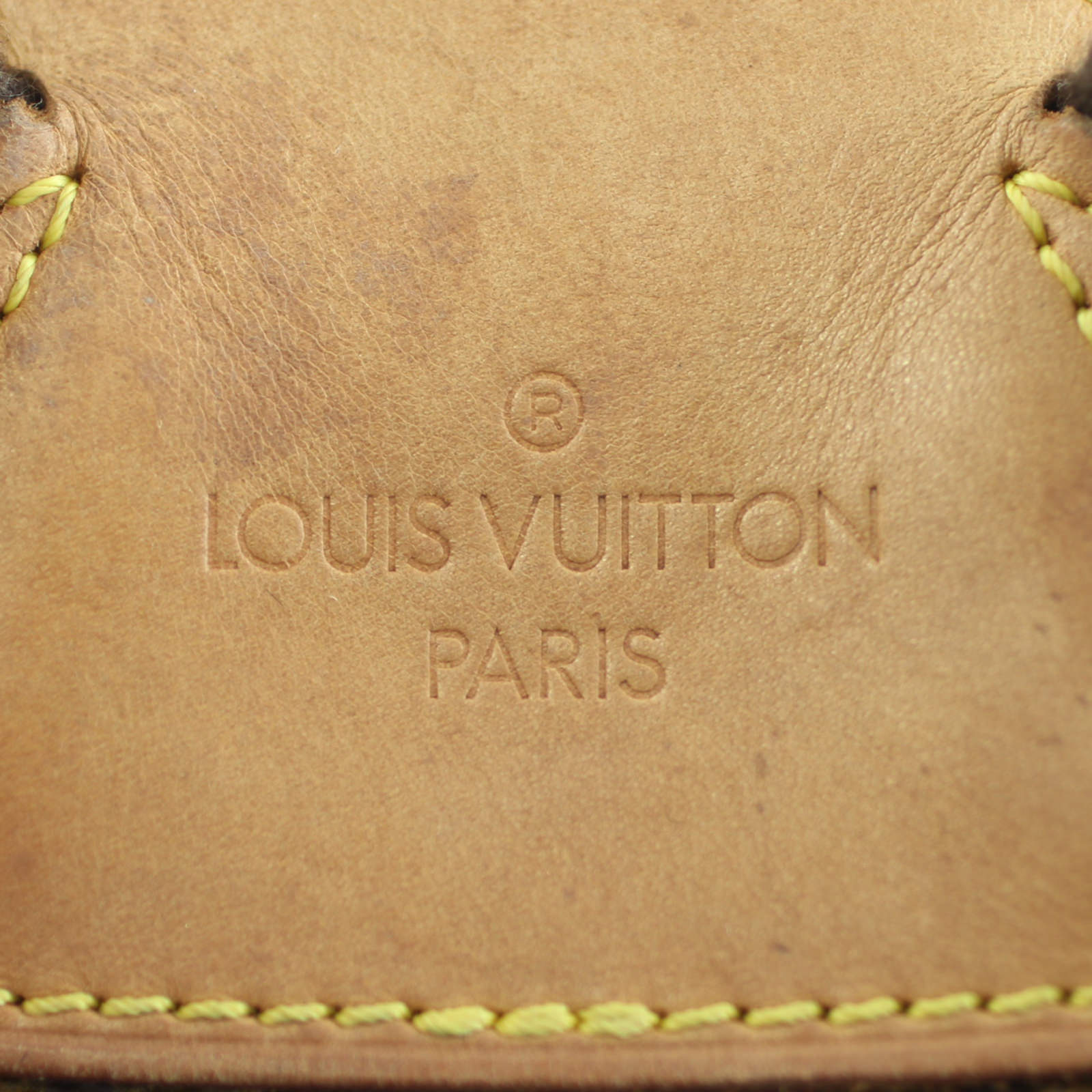 Louis Vuitton Montsouris GM Exterior