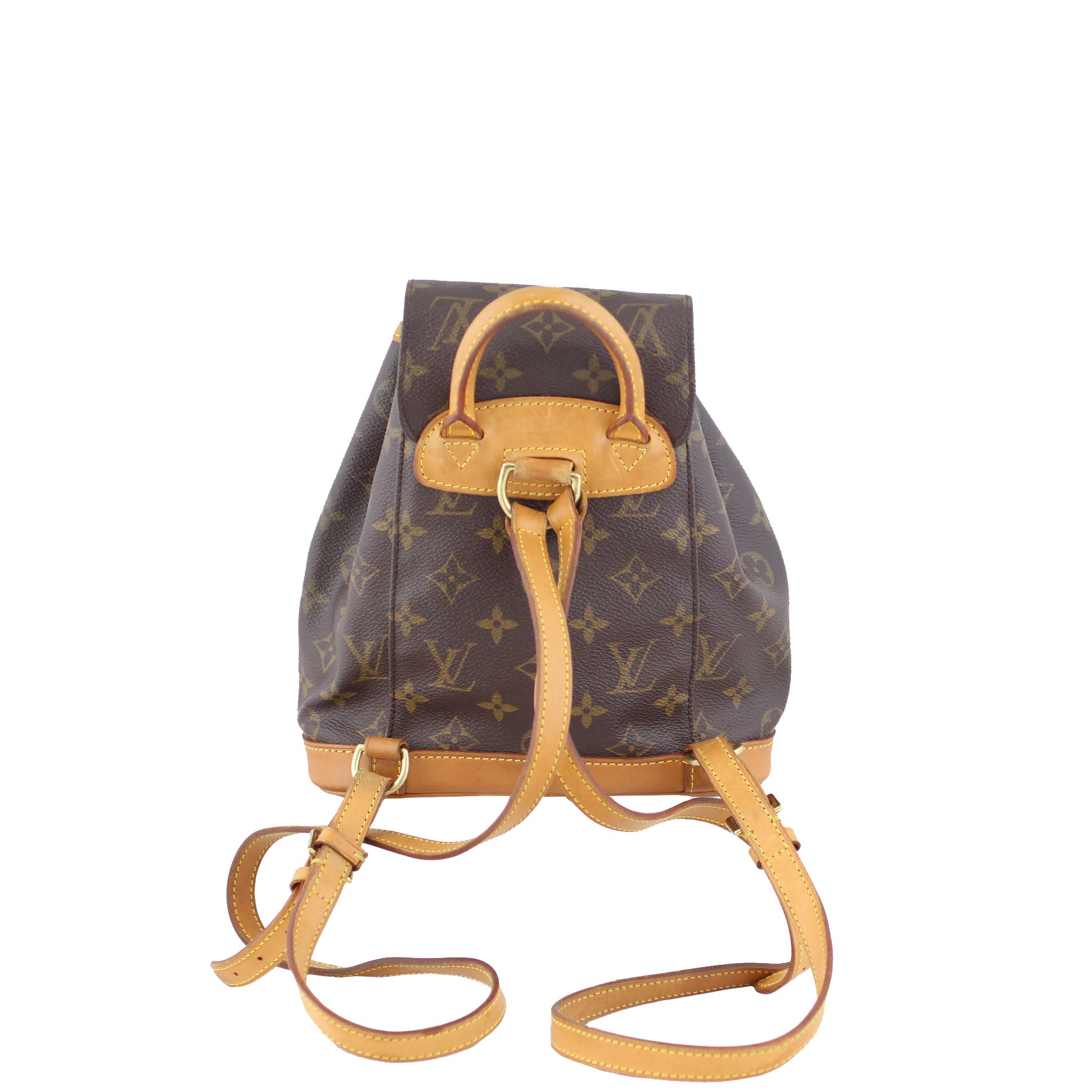 Louis Vuitton Montsouris PM Monogram Back