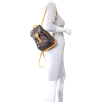 Louis Vuitton Montsouris PM Backpack Mannequin