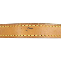 Louis Vuitton Montsouris PM Monogram Strap